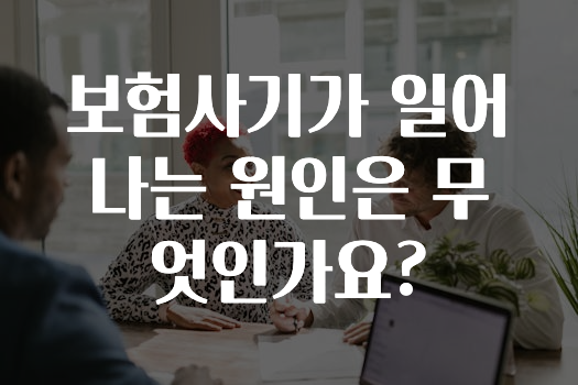 보험사기가 일어나는 원인은 무엇인가요?