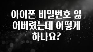 아이폰 비밀번호 잃어버렸는데 어떻게 하나요?