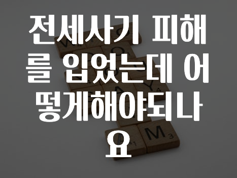 전세사기 피해를 입었는데 어떻게해야되나요