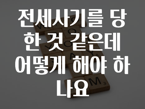 전세사기를 당한 것 같은데 어떻게 해야 하나요