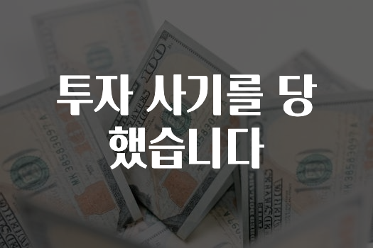 투자 사기를 당했습니다