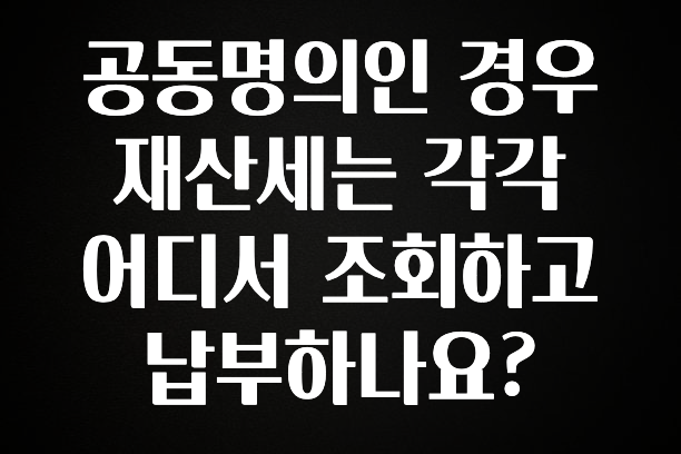 공동명의인 경우 재산세는 각각 어디서 조회하고 납부하나요?