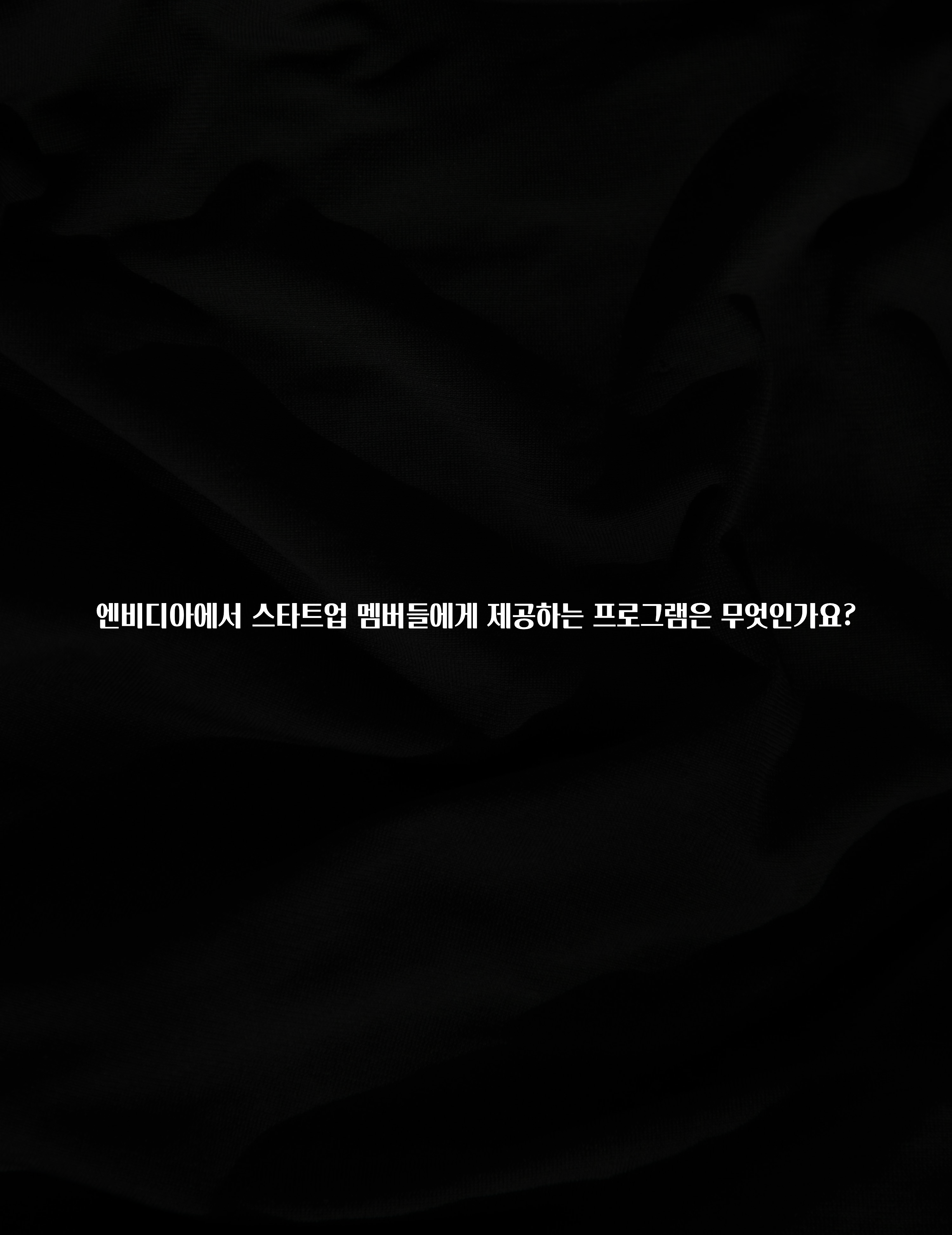 엔비디아에서 스타트업 멤버들에게 제공하는 프로그램은 무엇인가요?