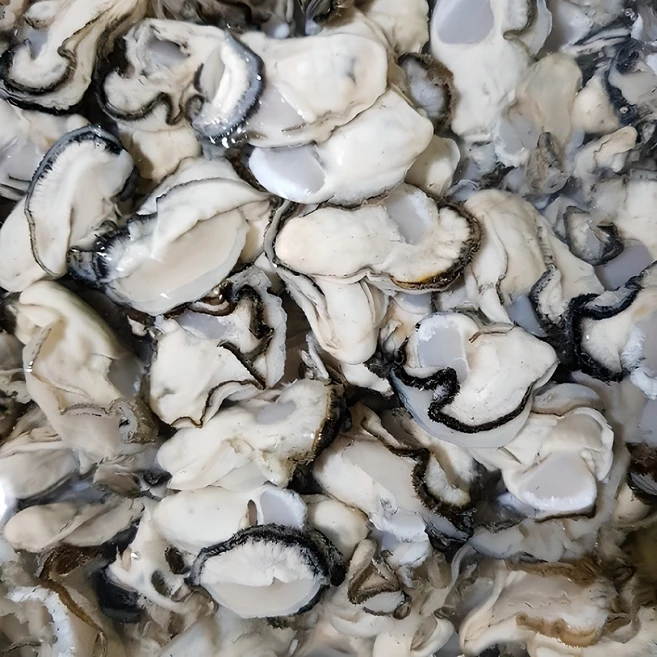 통영이순신수산